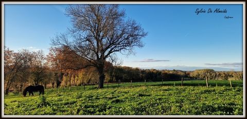   Propri�t� � vendre PONT DE VEYLE (01) 16,5 Ha, vue, maison 145 m�, ferme � r�nover 170 m�, pigeonnier, hangar, �questre Ferme - 6 pi�ce(s) - 145 m�