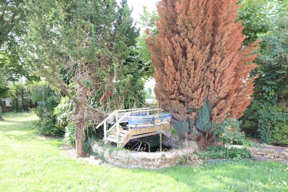 � vendre  Propri�t�/ch�teau La Truch�re (71290)