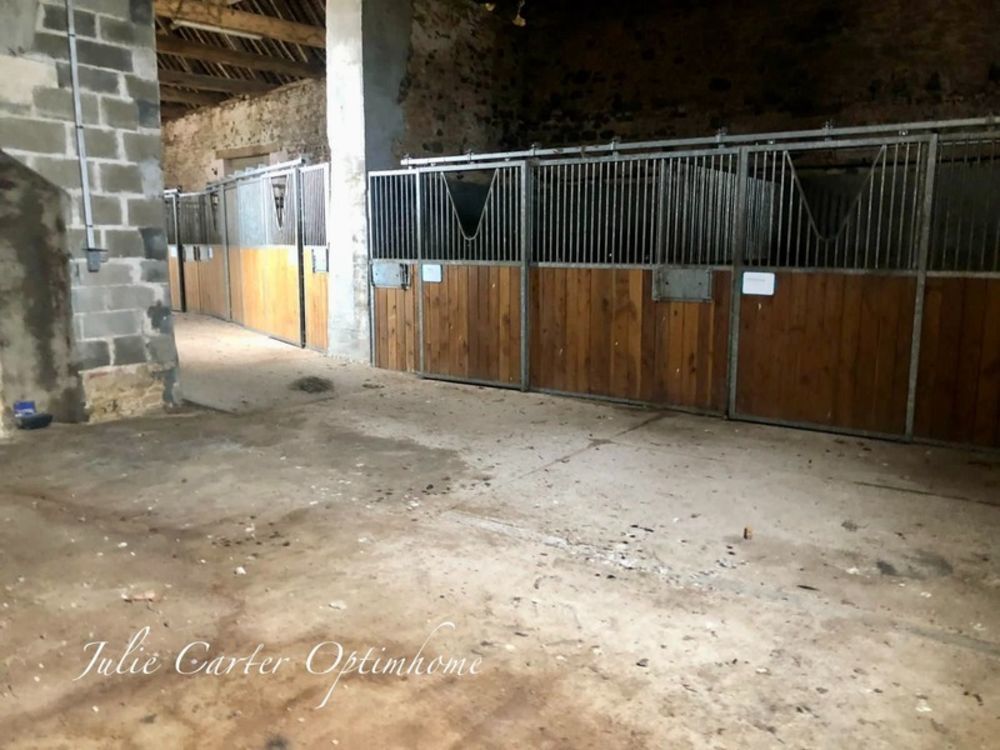 � vendre  Propri�t�/ch�teau Avoine (61150)