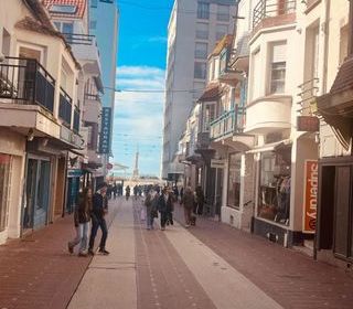  Maison � vendre 13 pi�ces 272 m�