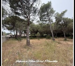  Terrain � vendre 1001 m�