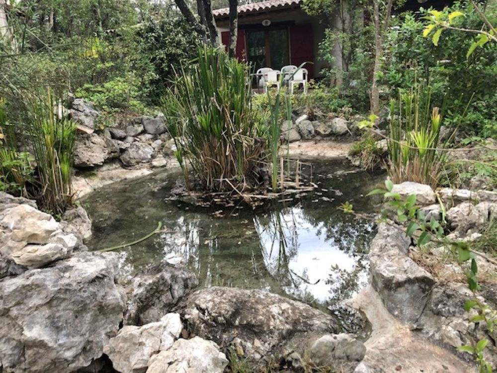 � vendre  Propri�t�/ch�teau Tornac (30140)