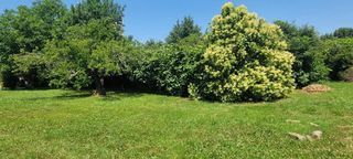  Maison � vendre 1 pi�ce 150 m�