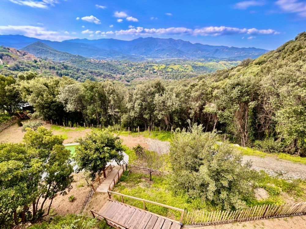 � vendre  Villa Poggio-d'Oletta (20232)