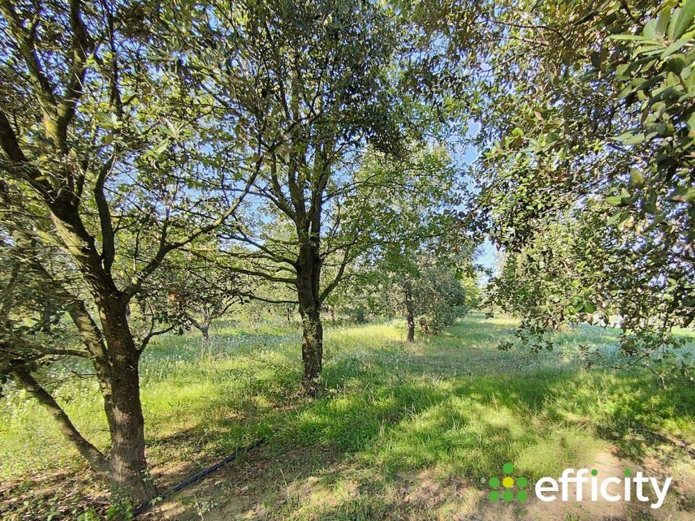 � vendre  Maison Pernes-les-Fontaines (84210)