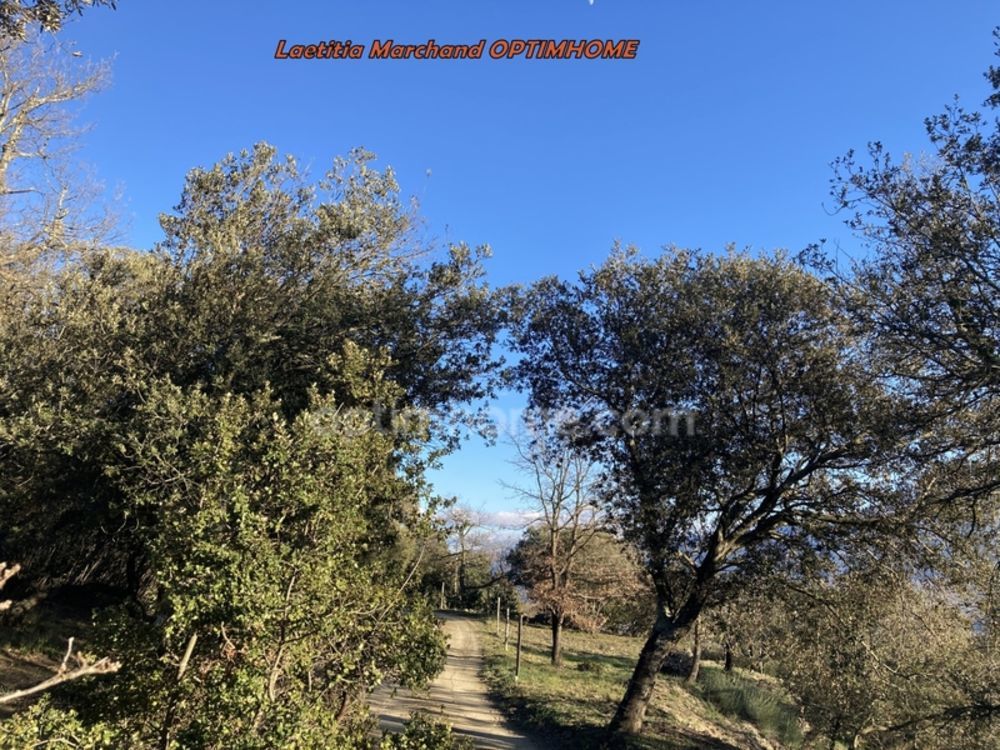 � vendre  Maison Prades (66500)