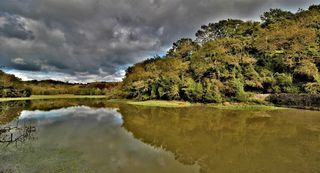  Propri�t�/ch�teau � vendre 6 pi�ces 174 m�