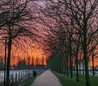  Appartement � louer 1 pi�ce 10 m�