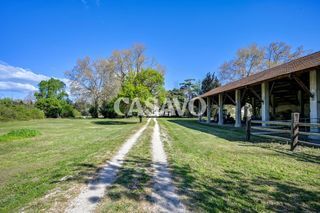  Propri�t�/ch�teau � vendre 12 pi�ces 562 m�