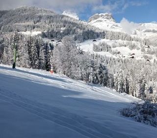  Appartement � vendre 2 pi�ces 24 m�