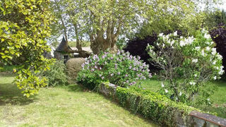  Maison � vendre 8 pi�ces 222 m�