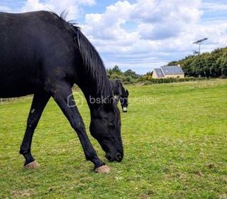  Maison � vendre 5 pi�ces 80 m�