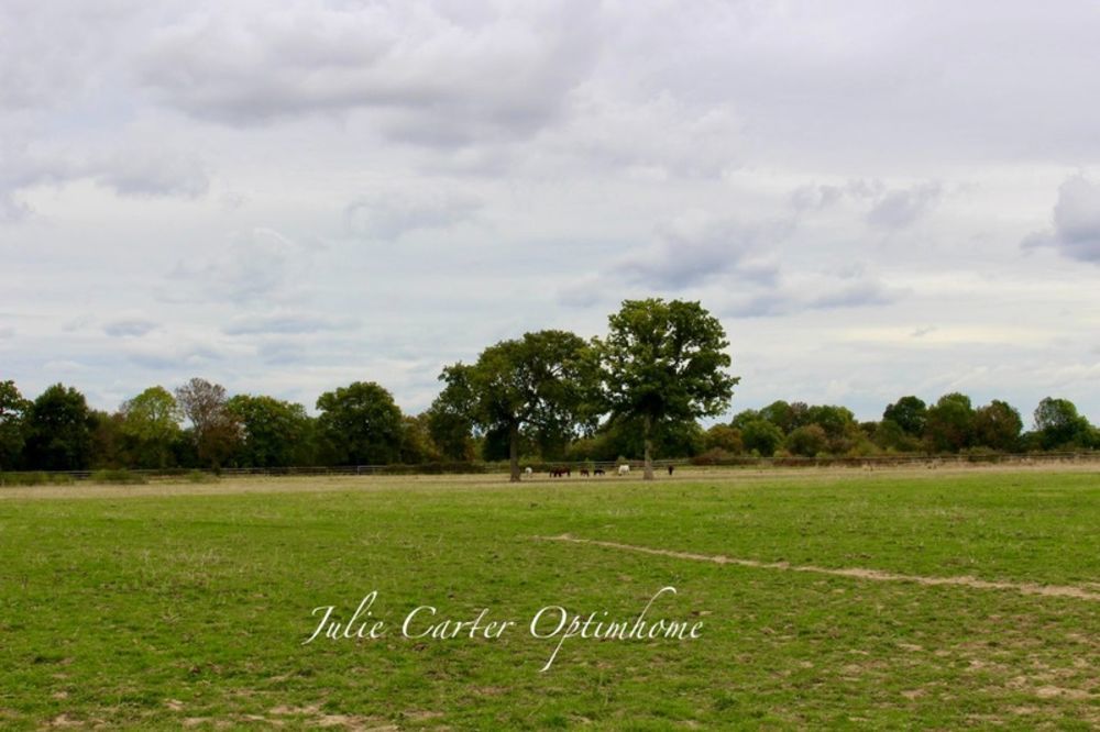 � vendre  Propri�t�/ch�teau Avoine (61150)