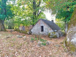  Propri�t�/ch�teau � vendre 3 pi�ces 100 m�