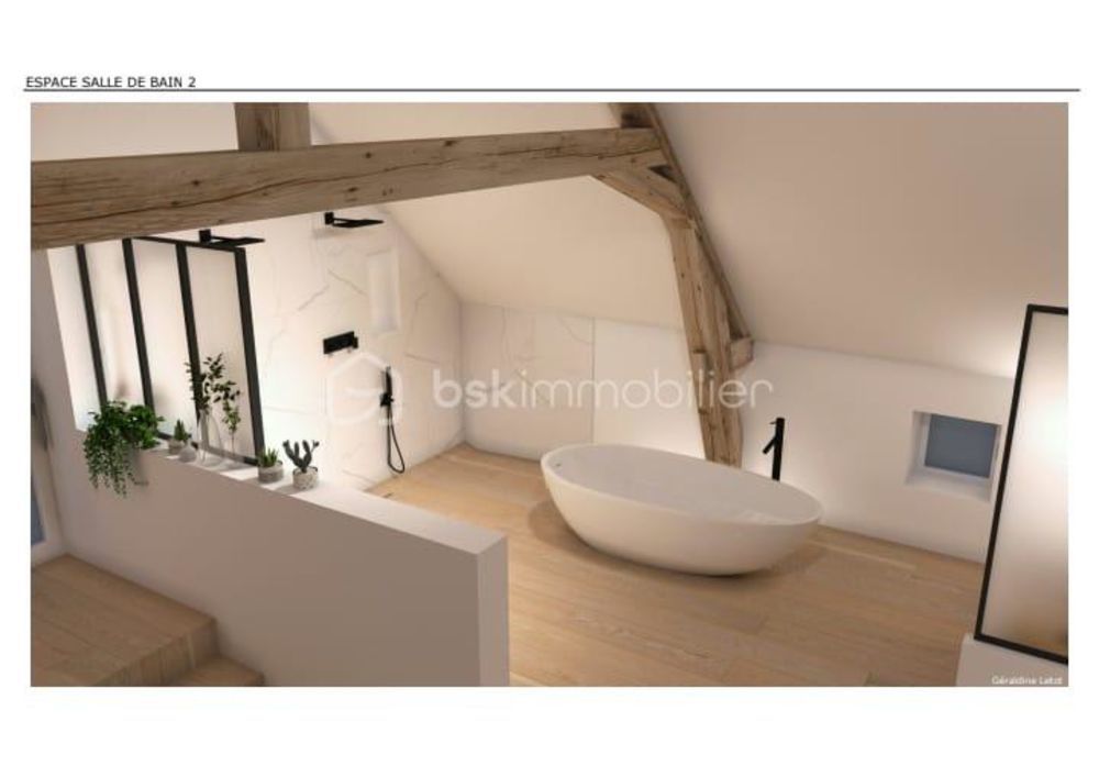 � vendre  Propri�t�/ch�teau Migennes (89400)