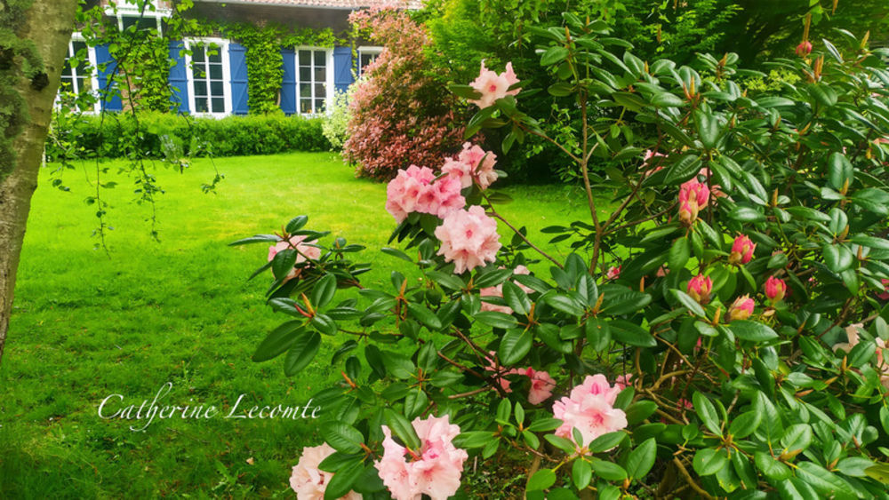 � vendre  Propri�t�/ch�teau Samer (62830)