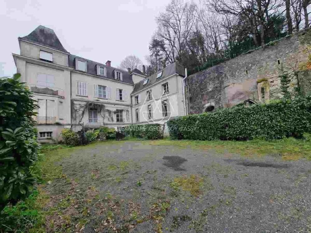 � vendre  H�tel Particulier Tours (37000)