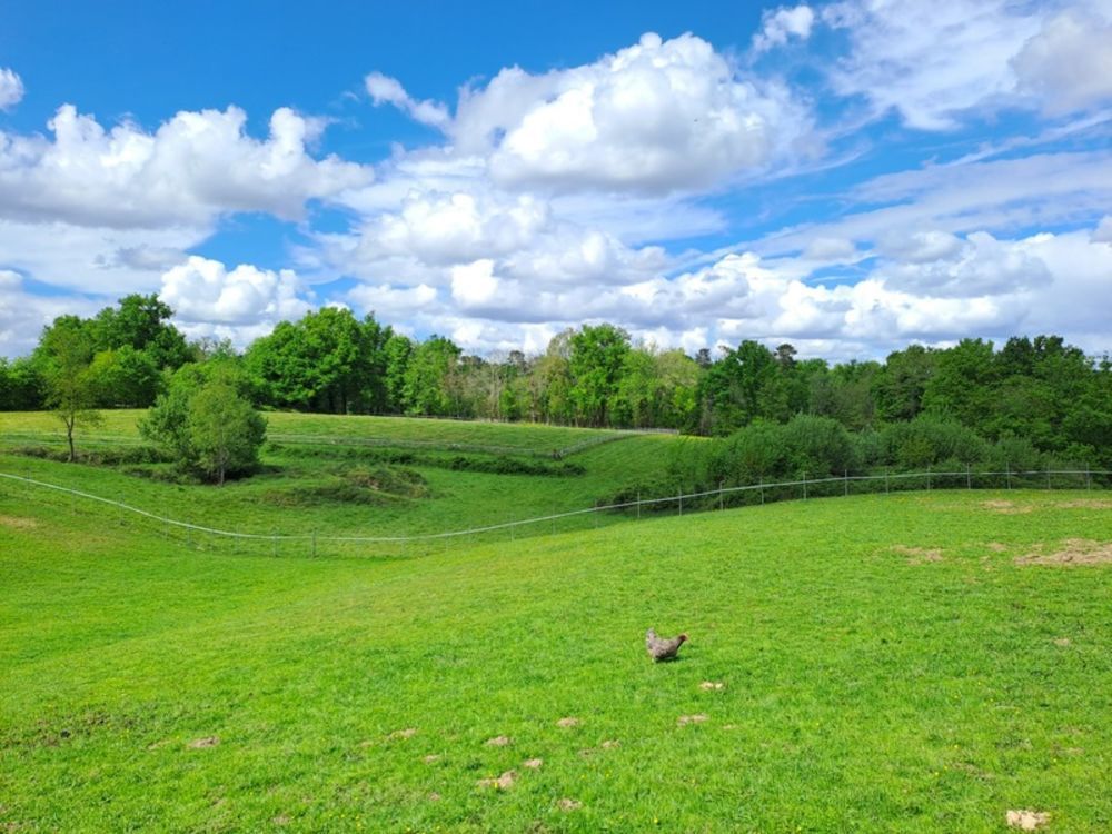 � vendre  Propri�t�/ch�teau Saint-Andr�-de-Cubzac (33240)