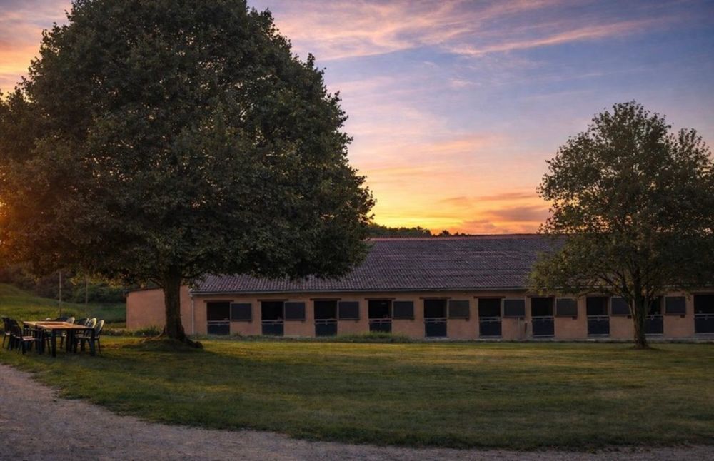 � vendre  Propri�t�/ch�teau Pervench�res (61360)