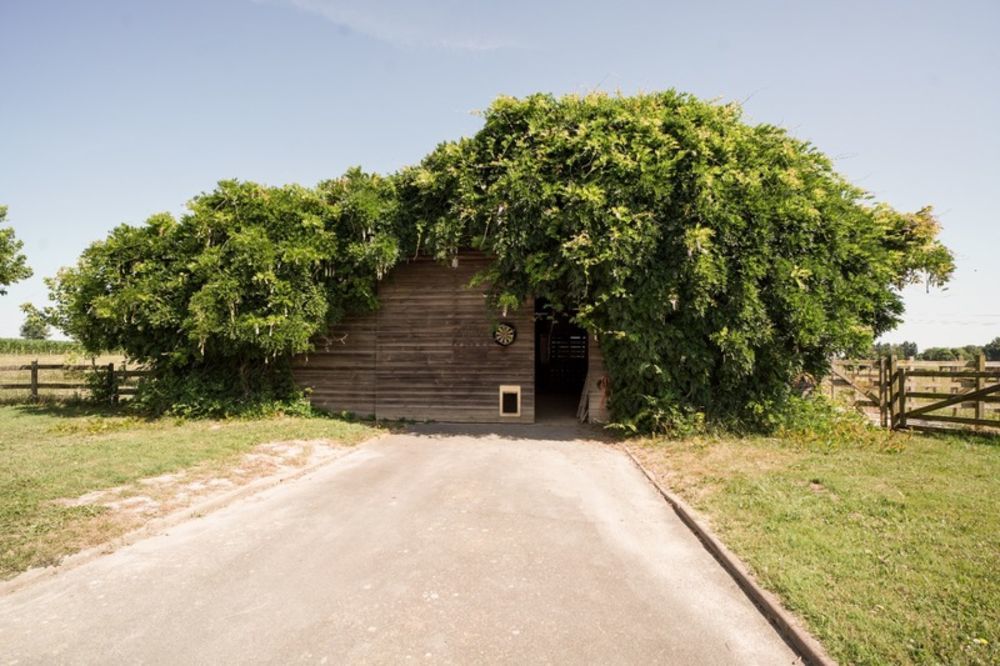 � vendre  Propri�t�/ch�teau Ch�tillon-sur-Chalaronne (01400)