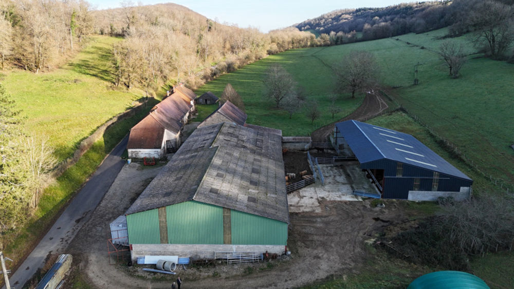 � vendre  Propri�t�/ch�teau Beaufort (39190)