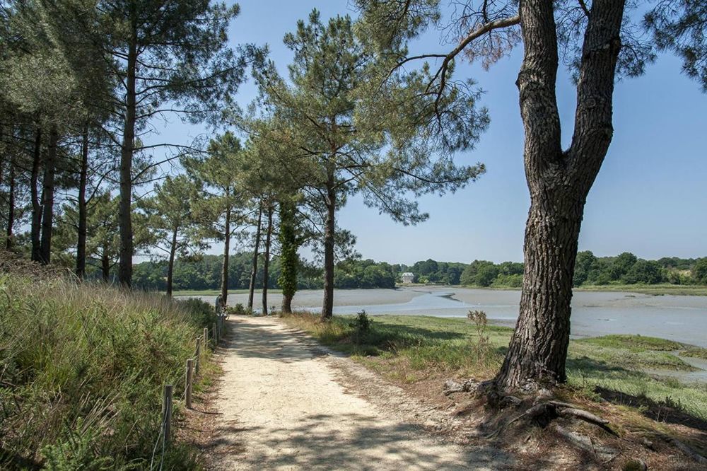 � vendre  Maison Vannes (56000)