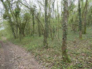  Terrain � vendre 8257 m� Garennes sur eure