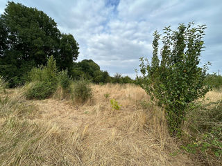  Terrain � vendre 909 m�