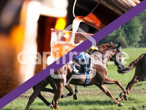 Fonds de commerce &agrave; vendre MONTEUX (84) - BAR TABAC LOTO PMU PRESSE 336000 84170 Monteux