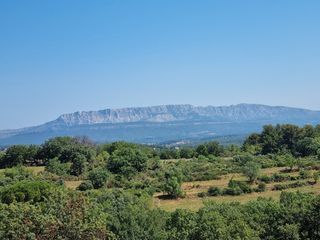  Appartement � vendre 1 pi�ce 21 m�