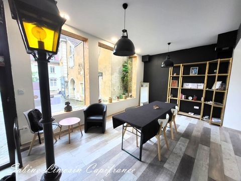 Local/bureau &agrave; vendre DELLE (90) 88000 90100 Delle