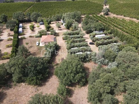 AIRE NATURELLE DE CAMPING 990000 66200 Elne