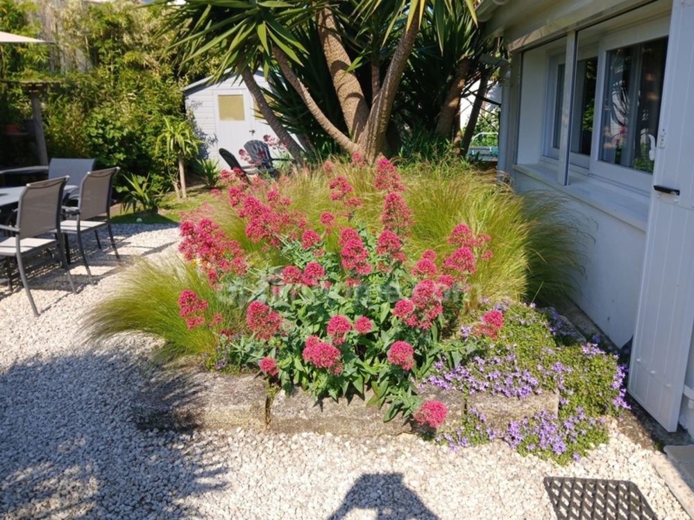 � vendre  Maison Saint-Martin-de-R� (17410)