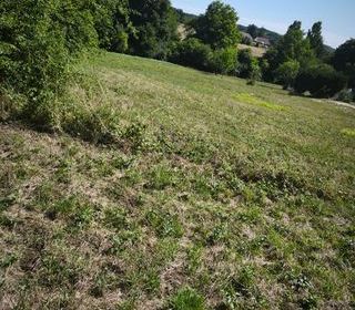  Terrain � vendre 2728 m�