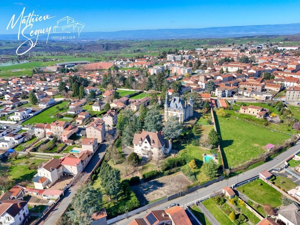 � vendre  Propri�t�/ch�teau Chazelles-sur-Lyon (42140)