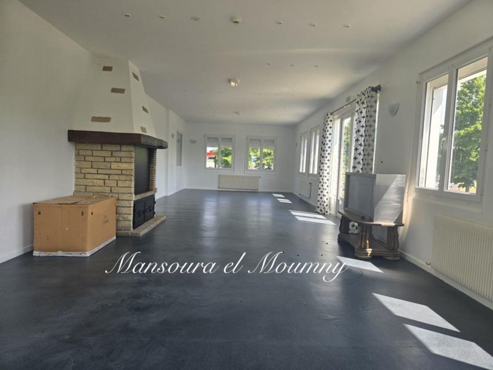 � vendre  Propri�t�/ch�teau Ch�teau-Renault (37110)