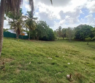  Terrain � vendre 968 m�