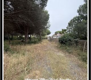  Terrain � vendre 1001 m�