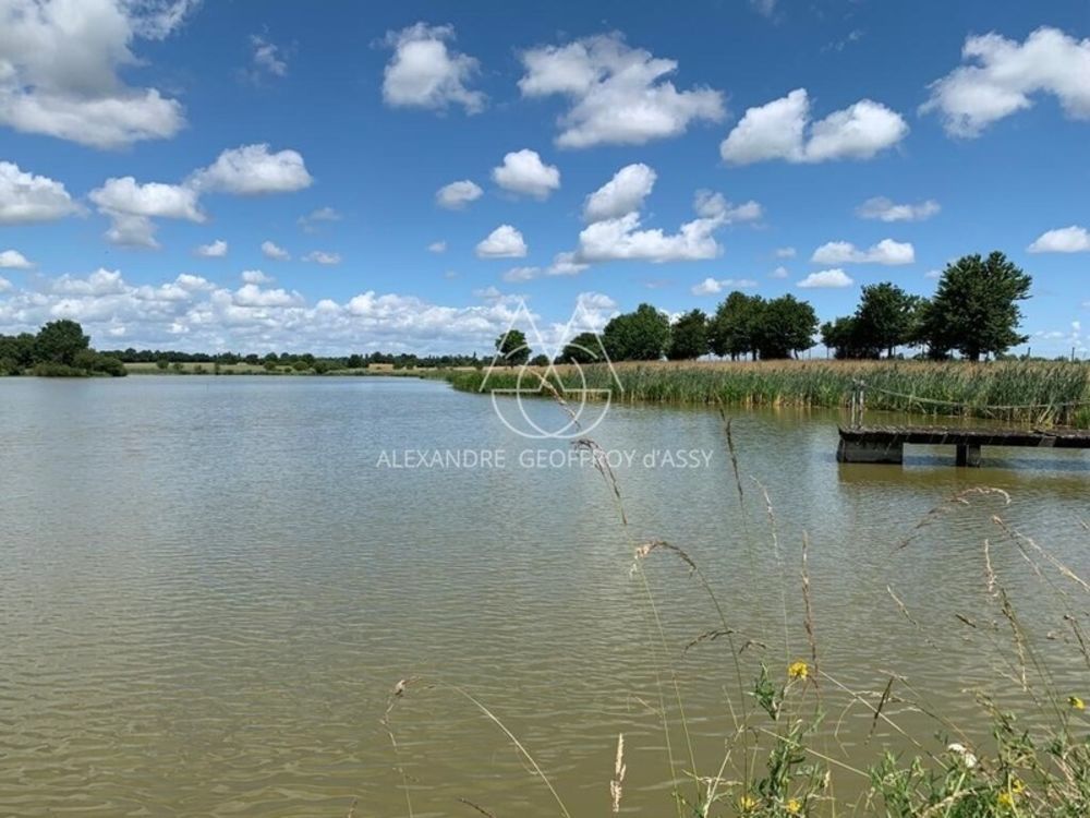 � vendre  Propri�t�/ch�teau Angers (49000)