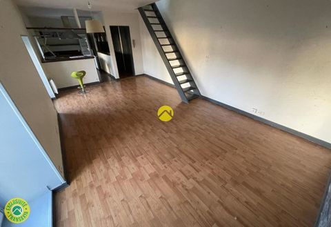  Duplex/triplex � vendre 3 pi�ces 69 m�