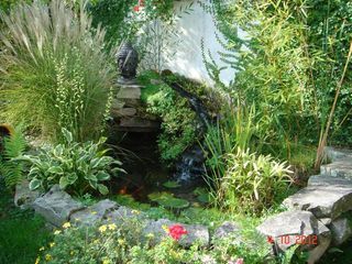  Appartement � louer 1 pi�ce 10 m�