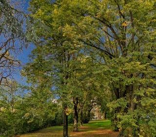  Appartement � vendre 1 pi�ce 42 m�