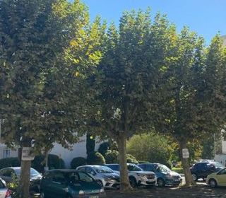  Appartement � vendre 3 pi�ces 80 m�