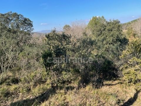 Var (83), &agrave; vendre GASSIN Terrain Agricole Zone AOC environ 17 000 m&sup2; (1 ha 7a) (31 euros/m2) 530000 83580 Gassin