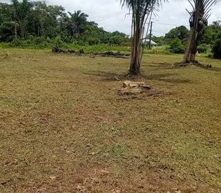  Terrain � vendre 3000 m�