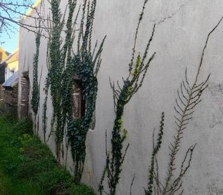  Maison � vendre 1 pi�ce 31 m�