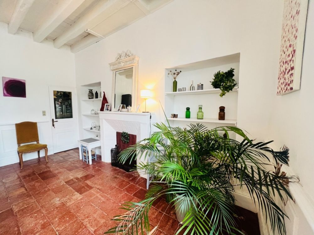 � vendre  Propri�t�/ch�teau Les Ormes (86220)