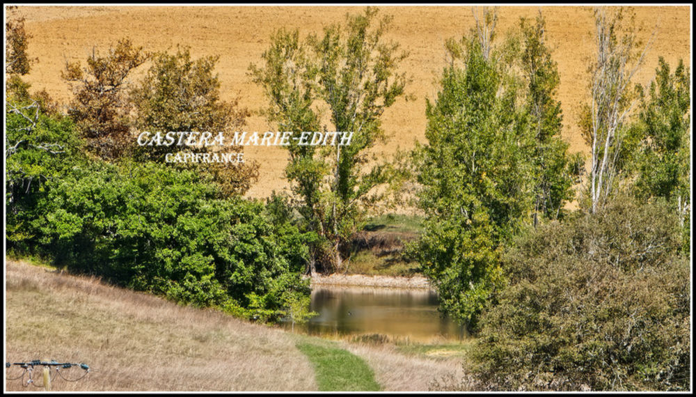 � vendre  Propri�t�/ch�teau Vic-Fezensac (32190)