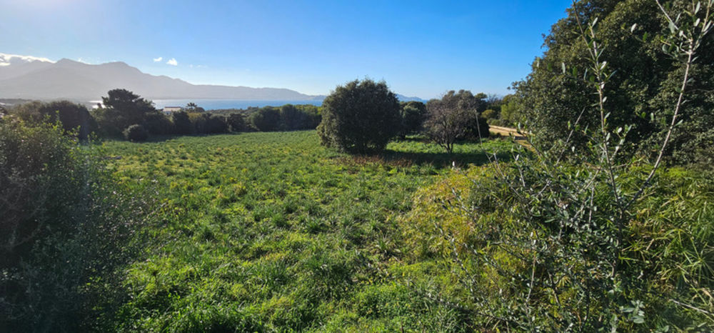 � vendre  Maison Lumio (20260)