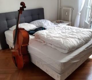  Appartement � louer 1 pi�ce 14 m�